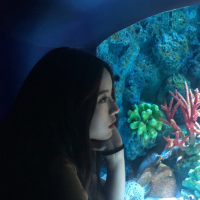 初梦生日快乐 ﹎っωǒ没什麽籌碼成