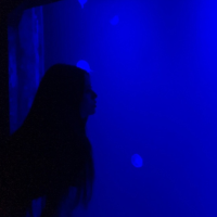 初梦生日快乐 ﹎っωǒ没什麽籌碼成