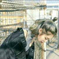 “一路肆意流浪还记得故乡吗” 我等生来自由身 谁敢