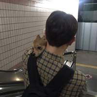 真的不快乐 你要我怎么说 Life isn’t