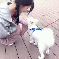 你是我的女人，我是你