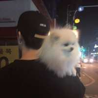 顾柒:该拥抱的时候我绝不后退 能使我们感觉快乐的，