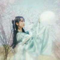 在我的感情世界里不需