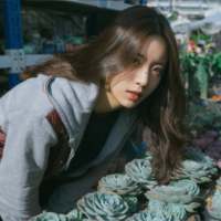 与君初相识犹如故人归 多年以后，我不小心哼