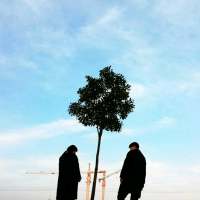 这一生可以快乐就别难过 我不要爱情了，我只想