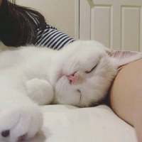 拿图给花。 句号不是结束，是两个