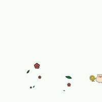 我现在在等一个人 比