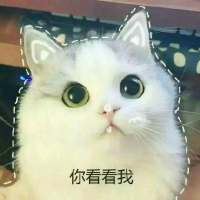 撒娇专用表情包 超喜欢惹 世界上最幸福的事，是