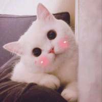 从你的心里 看到我自