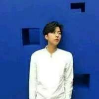 如世间草木 亭亭不独