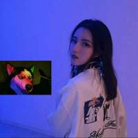 捧脸亲林浩 The time t