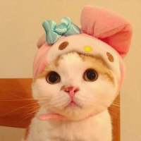 从你的心里 看到我自