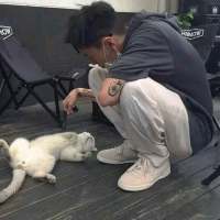 其实挺想你 只是你很好 我不想打扰 我能遇见你，也能送走