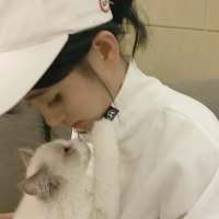 花光了所有的野心和精力才会极度渴望安稳 普罗旺斯的花海゛淡紫