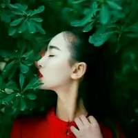 走了就走了 你有病吧你就是我的药
