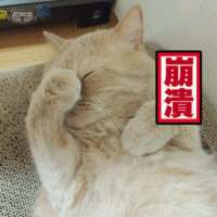 别让我听到你又爱上谁 我都快忘了曾经的那个