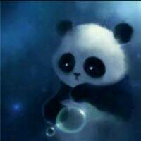 我偏偏相信了虚假的爱