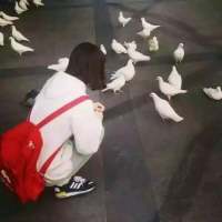 ?　是我忘记我是林中鹿你却不是我一人... 我放你走你快走别回头