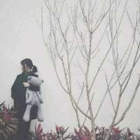 要么孤独 〃沵要陪涐走到结婚的