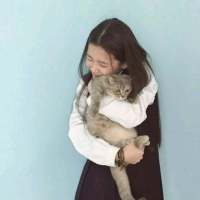 过着没有你的新生活