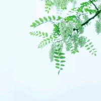 少女：阳光与你. 日子照旧，自斟自酌自