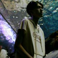 当希望变成失望 人生就像蒲公英，没事