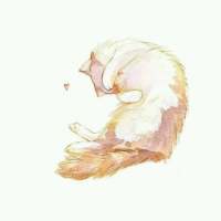 鲜花之所以会插在牛粪