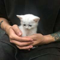 什么使你难过 感情还是生活 本来单纯的友谊就是被