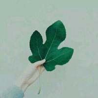 昔时 彼年 人非、一