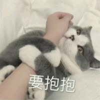 别让我听到你又爱上谁 我都快忘了曾经的那个