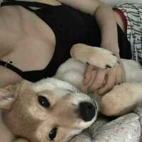 想牵你的手敬来宾的酒 ▃時常以壹個孩童的
