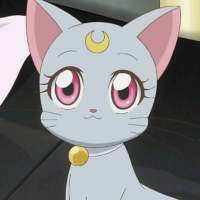 要做你温柔的小野猫 她说她有心事不知道和
