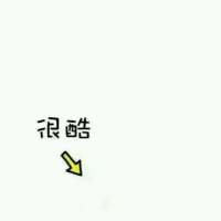 那是我满满的少女心 我翻看着以前的日记，