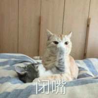 别让我听到你又爱上谁 我都快忘了曾经的那个