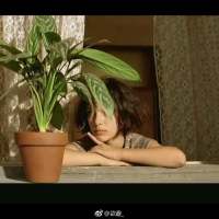 哪来什么好脾气都只不过是因为喜欢你 一个人很酷，但还是忍