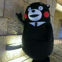 你就不要想起我万物可爱 你明知我口是心非不善