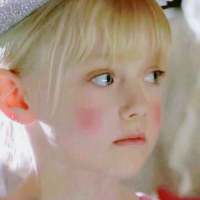 你经过我身旁?像鹿穿过花岗?风吹开一枝... 永远不要因为新鲜感扔