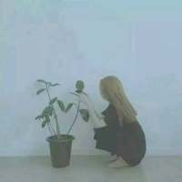 去找一个像太阳一样的人帮你晒晒所有不值... 有些事，只能一个人做