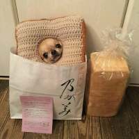 拿图给花。 千山万水就当它是伏笔