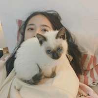 阿门 手纹被晚暮烘干，被年