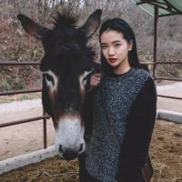 兄弟我先抛块砖，有玉