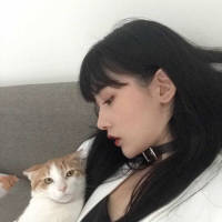 风都无法将你圈养 我