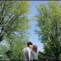 你是说我痴情还是嫌我