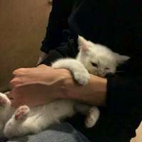 怜取眼前人 ★·°珴従鮇想簻吆砽