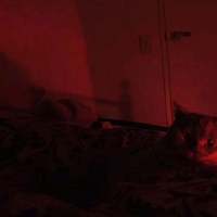 就这一生能快乐就别难过 爱那么庸俗，人却不停