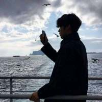 变了质的感情只能丢不能留 一见钟情什么的、全是
