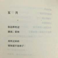 这林间是你 朝夕是你 我的人间都是你