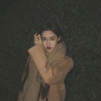 我来赴一场无关风月的