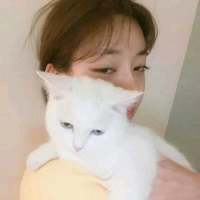 我还是一个人，可是我不想一个人。 再也碰不到那个与我相