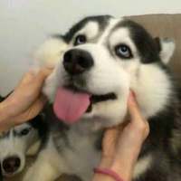 ? 总有那么一个人，一句